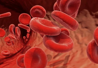 Blut erfüllt im Körper viele lebenswichtige Aufgaben.